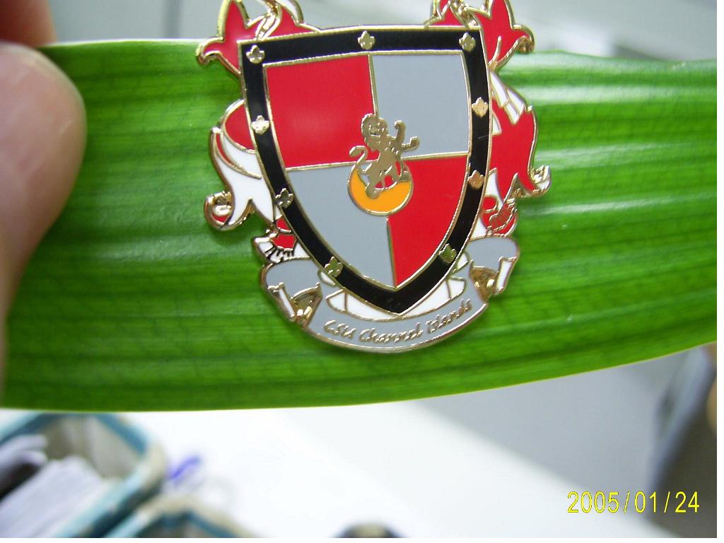 Lapel PIN