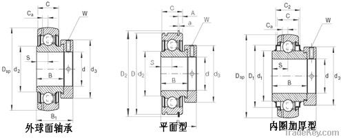 Insert bearing/ Pillow Block bearing