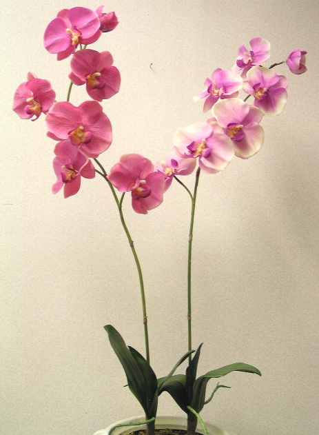 34"Phalaenopsis Orchid artificial flower Polyester flower