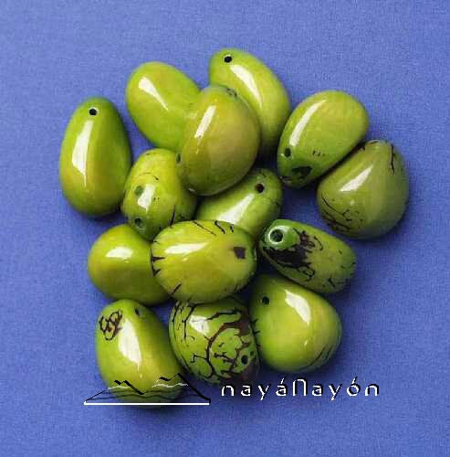 Large tagua nuts