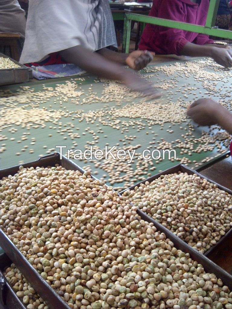 Pigeon Peas