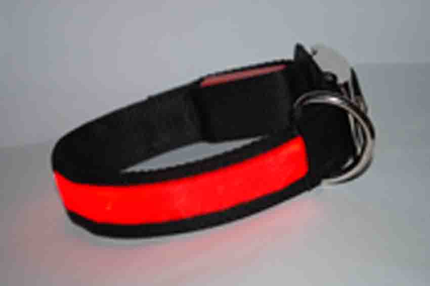 led dog collar