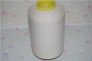 Twisted Silk Yarn 20/22d 300-330s 2ply