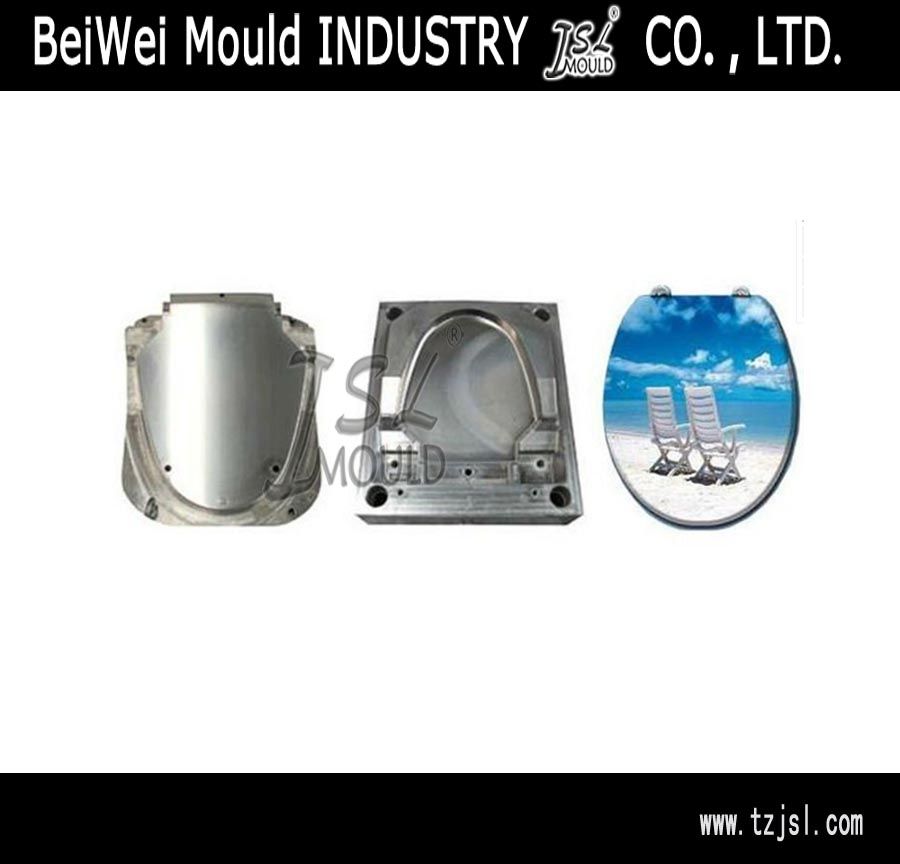 injection toilet seat mould