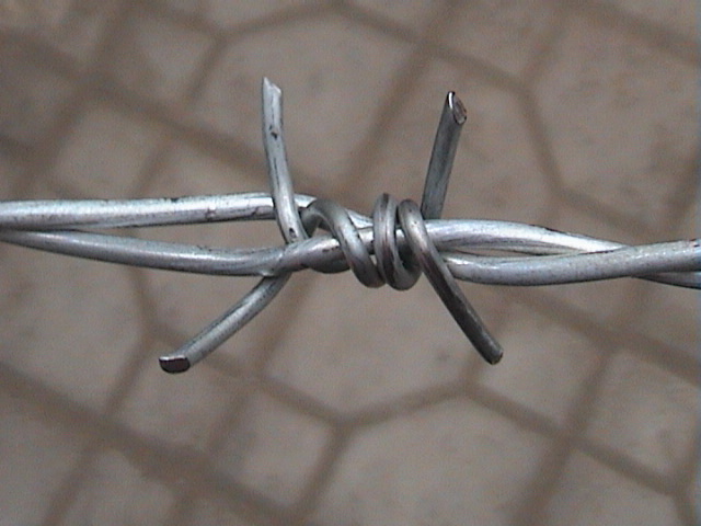 barbed wire, razor barbed wire(ISO 9001 verified factory)