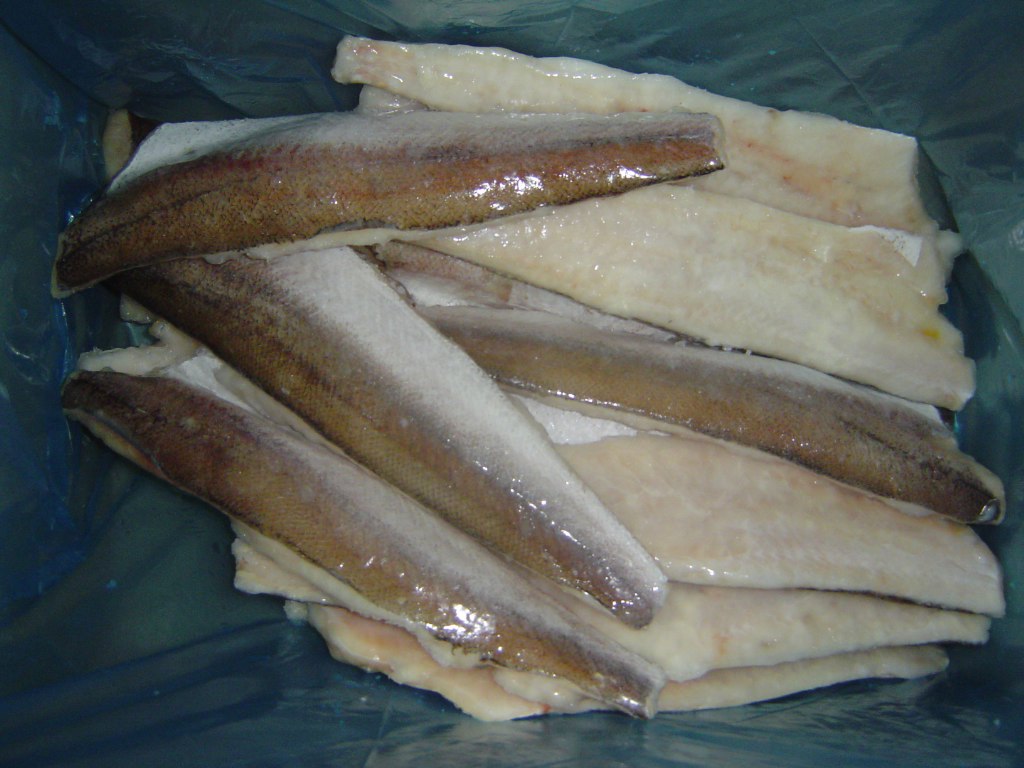 Sell HAKE FILLETS
