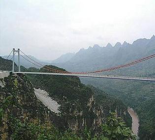 cable supported bridge