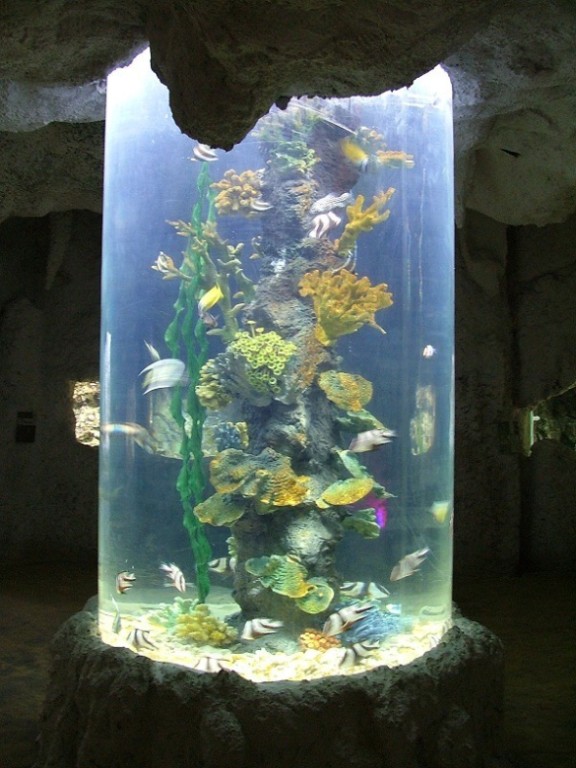 acrylicl aquarium