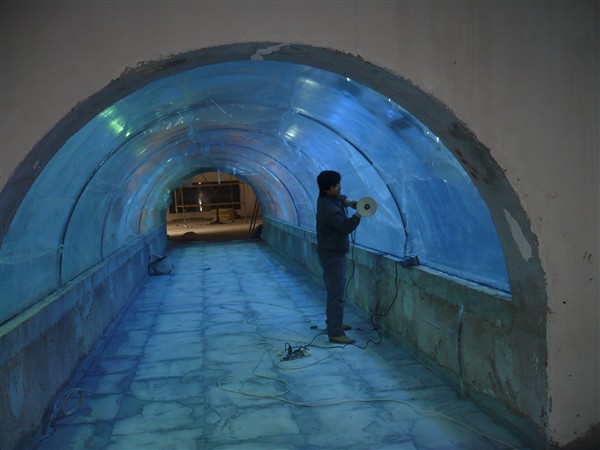 acrylic tunnel