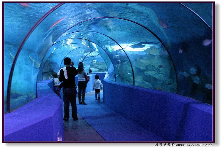 oceanarium project