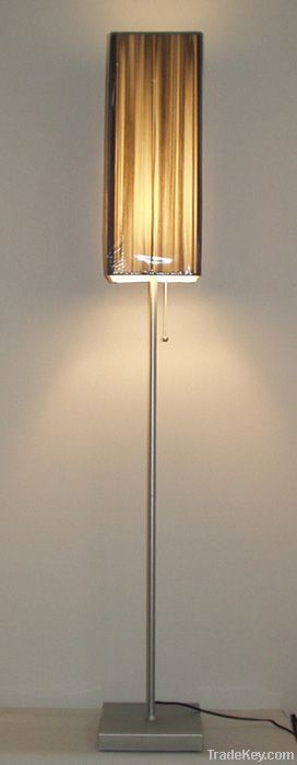 Fancy Modern Floor Lamp