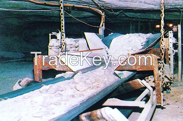 Acid and Alkali Resistant Conveyer Belt