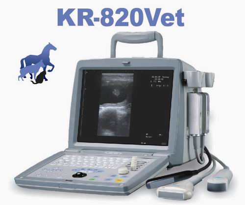 ultrasound scanner for veterinary