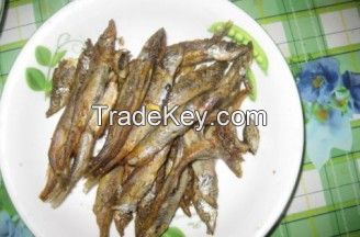 FROZEN DRY CAPELIN