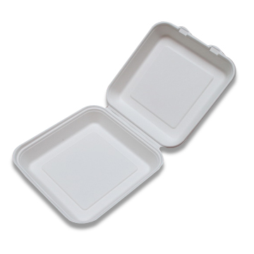 8-inch Disposable Box