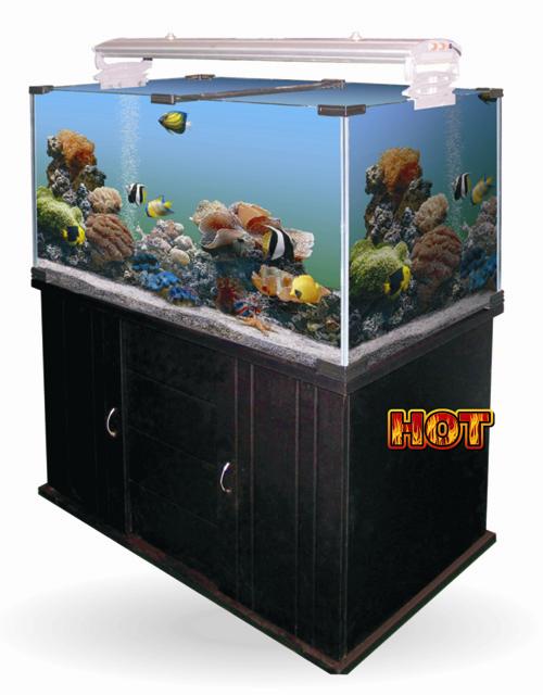 Marine fish tank