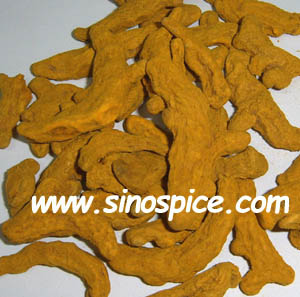 tumeric (curcumin)