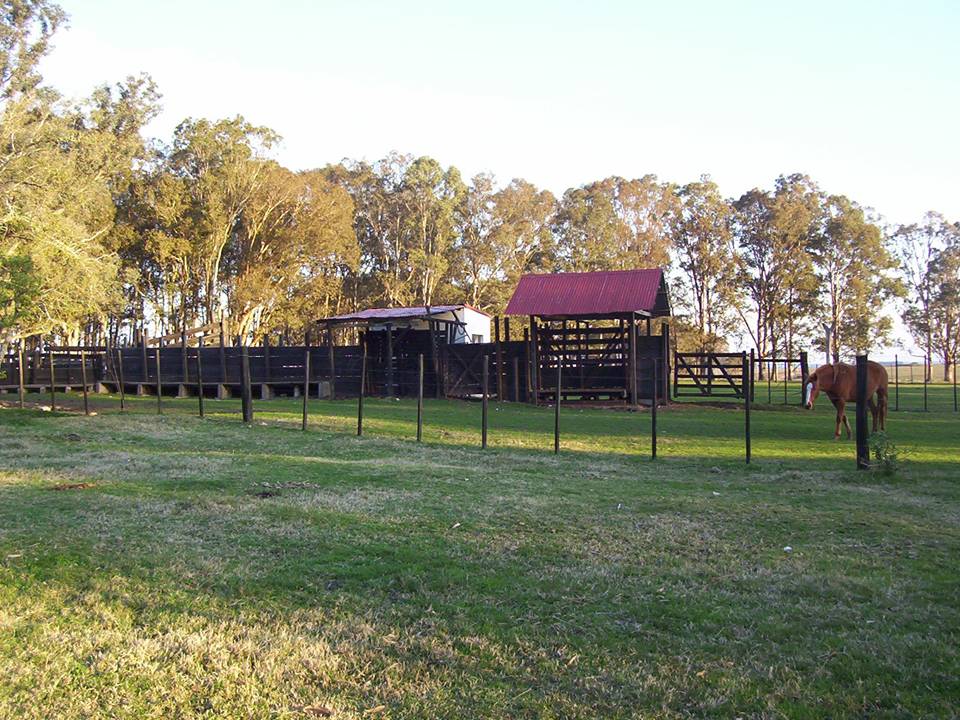 Ranchs and Farms in Uruguay