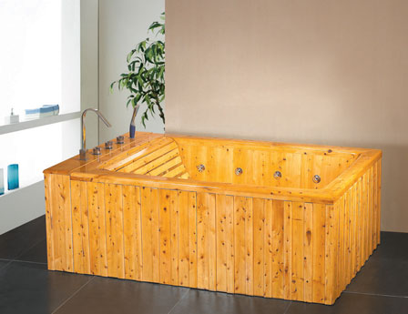 SPA bathtub