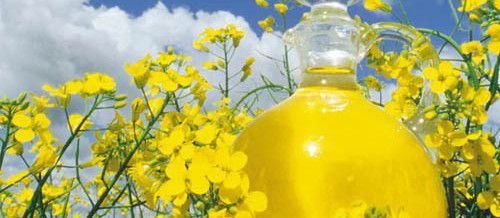 Rapeseed oil