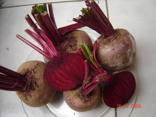 beetroot