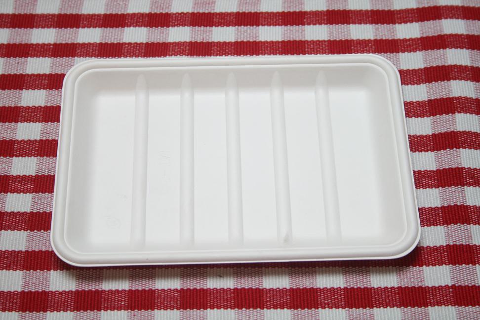 100%  biodegradable Tray