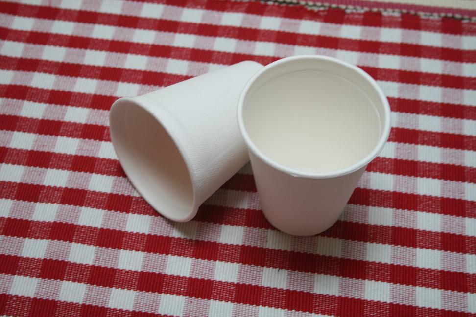100% biodegradable 260ml water cup