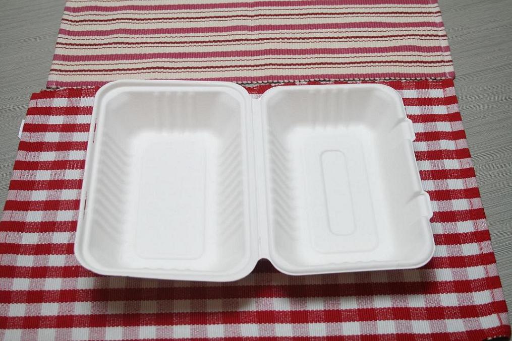 biodegradable 1000ml lunch box