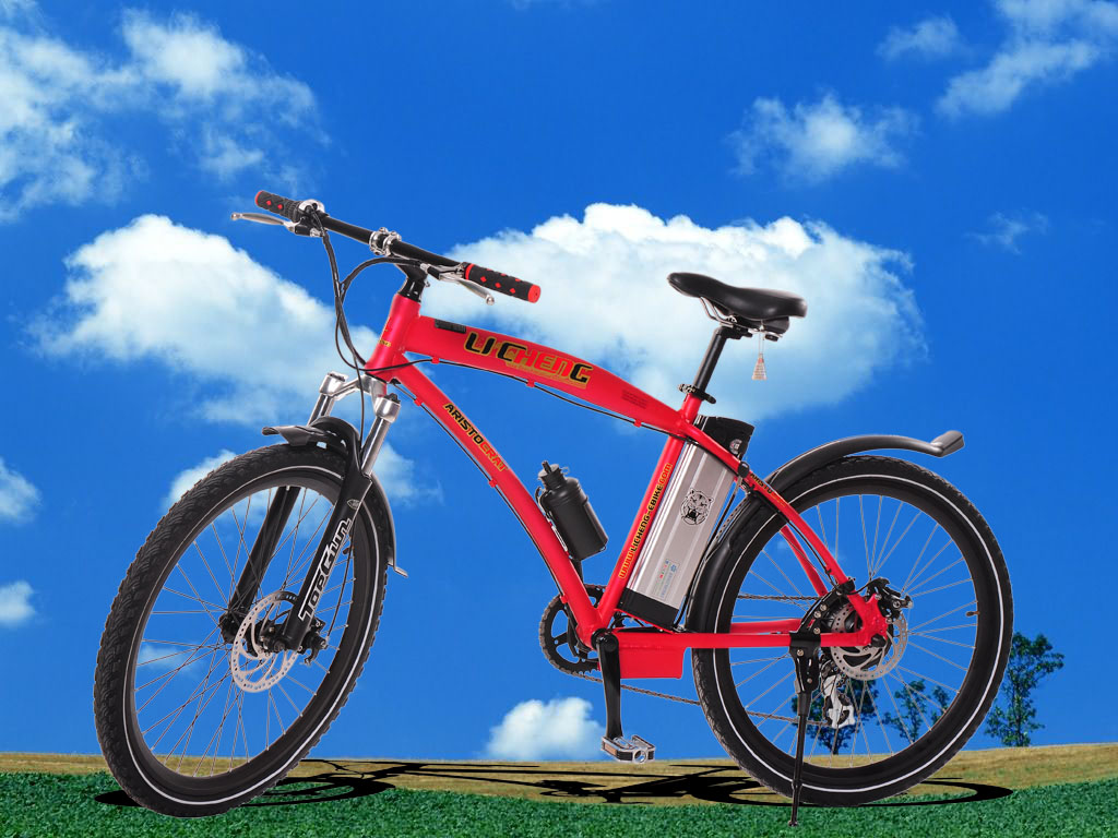 electronic bicycles