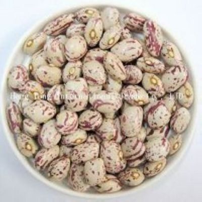 Light Speckled Kidney Beans