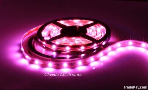 LED Strip light 3528-12V-60LED pink 5m/reel