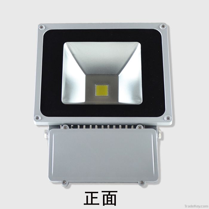 LED Flood Light 100W