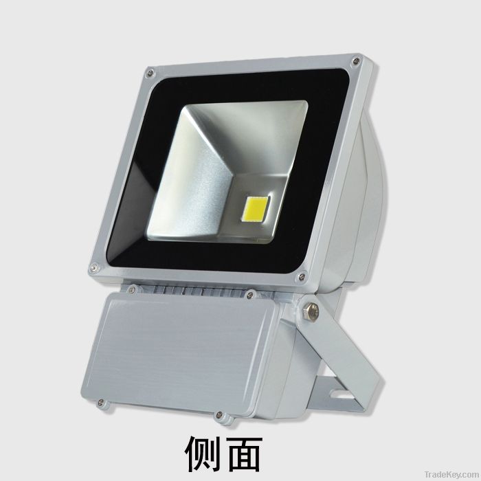 LED Flood Light 100W