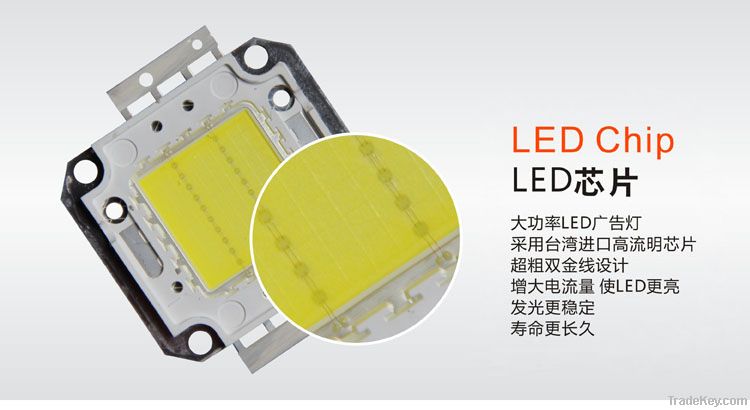 LED Flood Light 100W