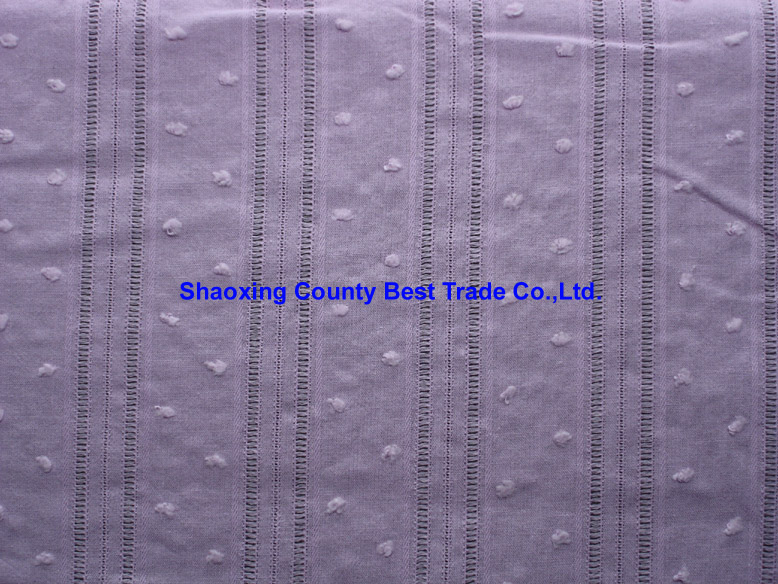 cotton leno dobby stripe with swiss dot (DF-16014-1A)
