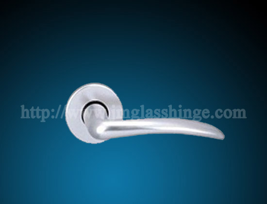 Aluminum & Stainless steel door handle