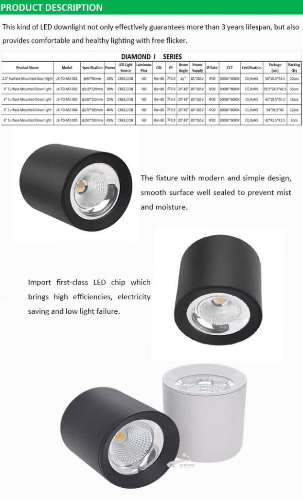 Hotel Shopping Mall High Quality 10W 2.5 Inch LED Surface Mounted Downlight