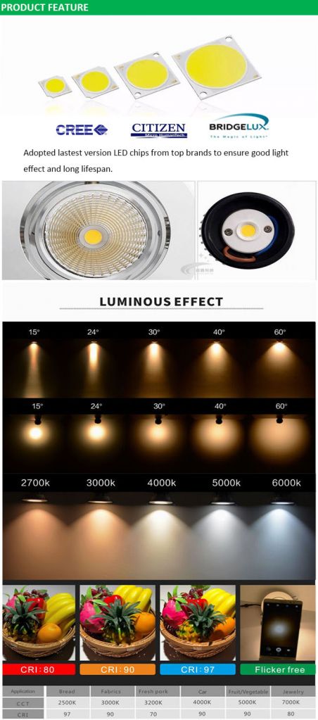 Hotel Shopping Mall High Quality 10W 2.5 Inch LED Surface Mounted Downlight