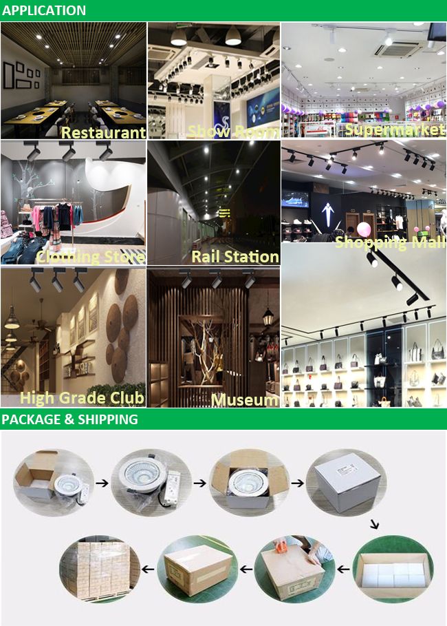 China Manufacture 10W 20W 30W Adjustable Rotatable LED Track Spot Light