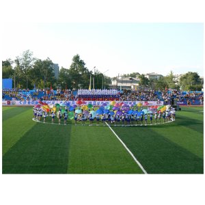 Sports artificial grass