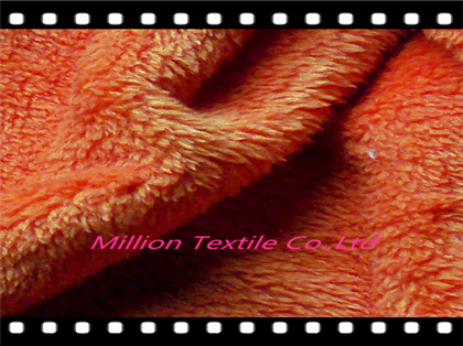 Coral Fleece Fabric 