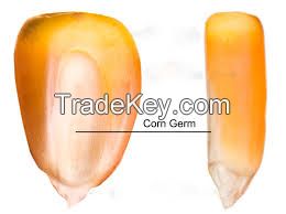 Corn/ Maize Germ Best Quality