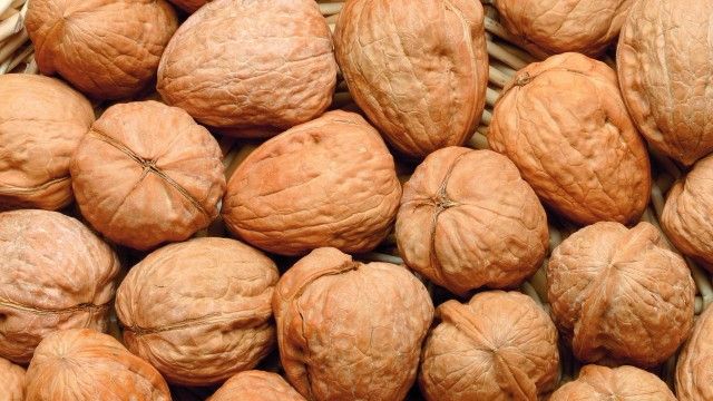 walnuts in shell of best quality