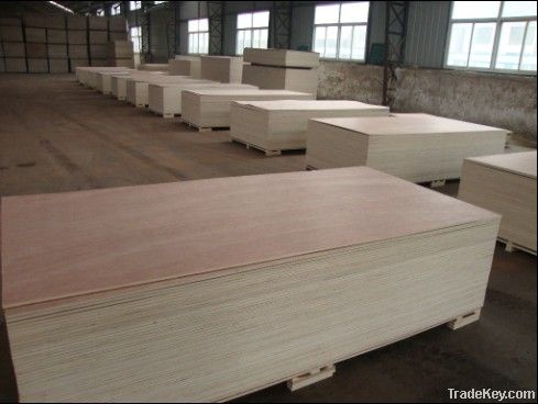 Okoume plywood