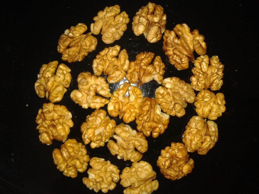 Indian walnuts & kernels