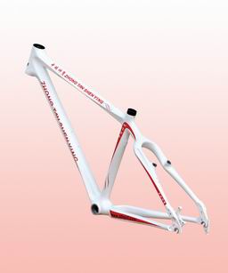 carbon frame