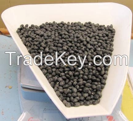 Black soya beans