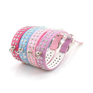 pet collars