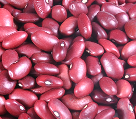 SMALL RED KIDNEY BEANS