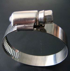 hose clamp